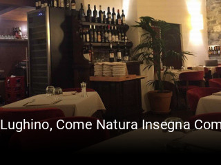 Il Lughino, Come Natura Insegna Como