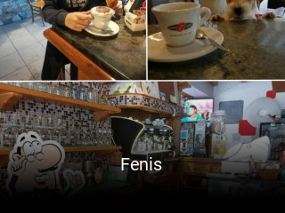 Fenis