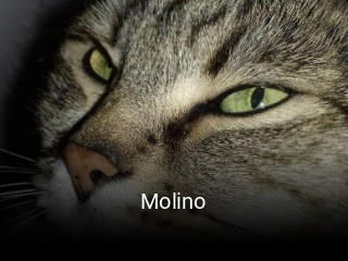 Molino