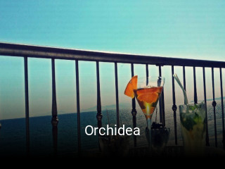 Orchidea