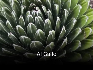 Al Gallo