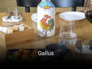 Gallus